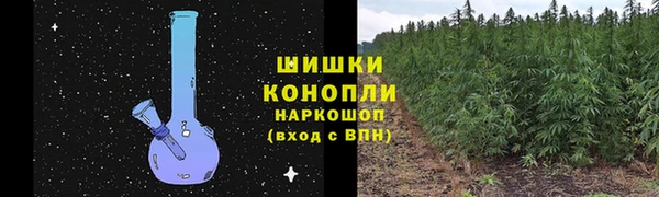 индика Володарск